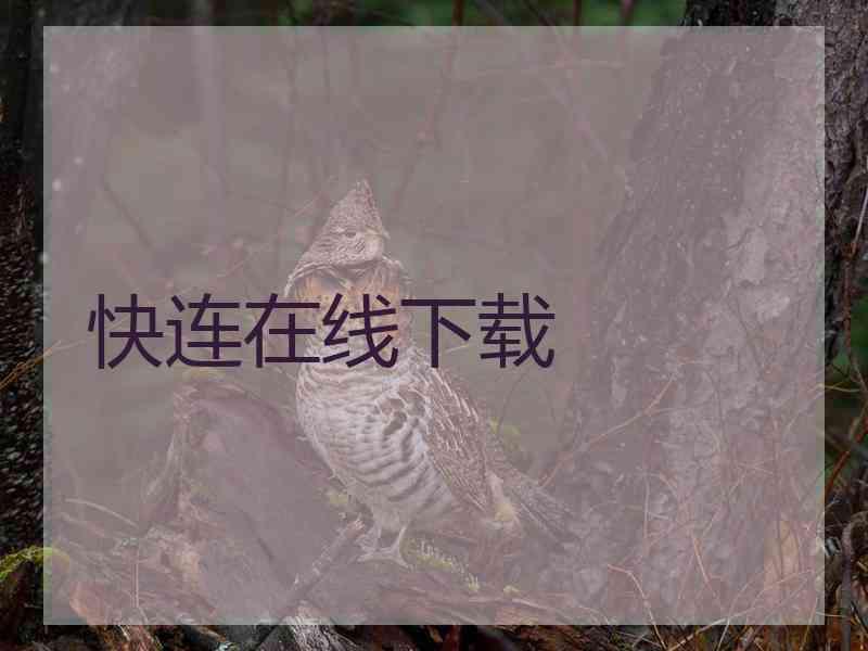 快连在线下载