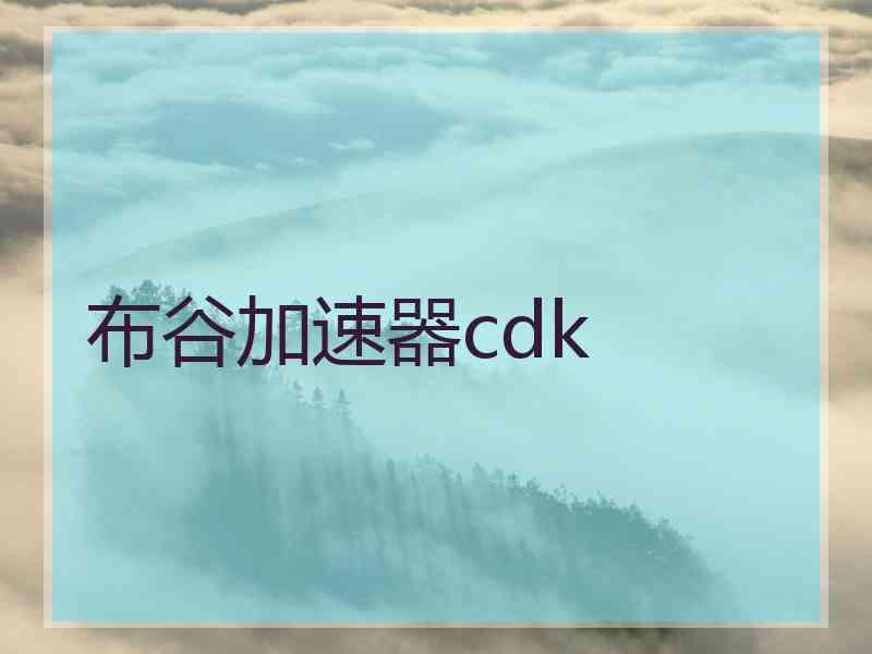 布谷加速器cdk