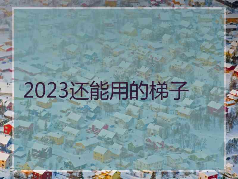 2023还能用的梯子