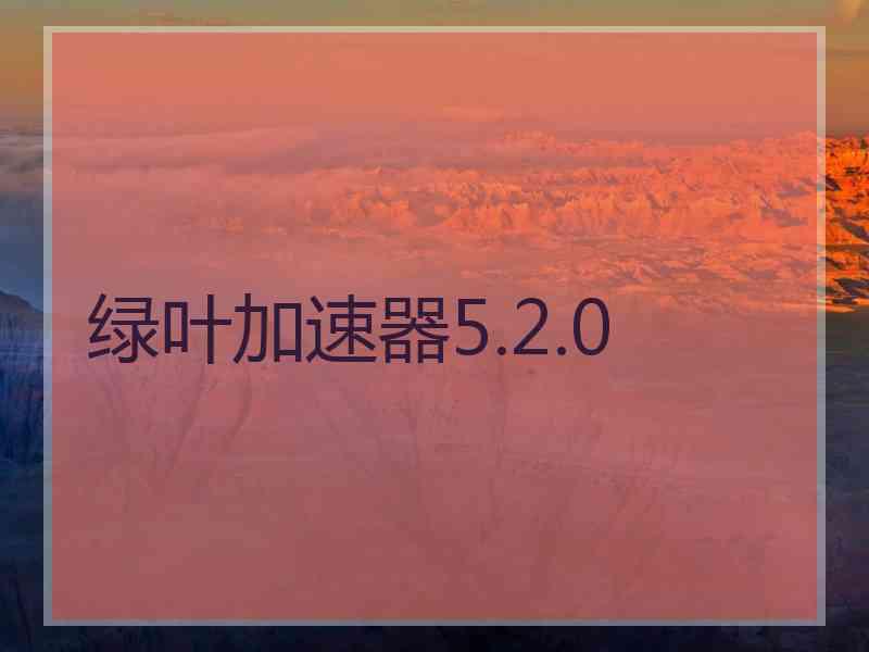 绿叶加速器5.2.0