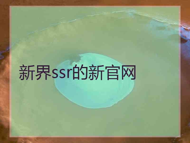 新界ssr的新官网