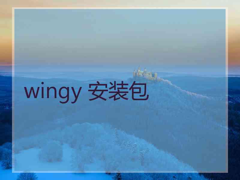 wingy 安装包