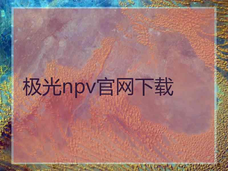 极光npv官网下载