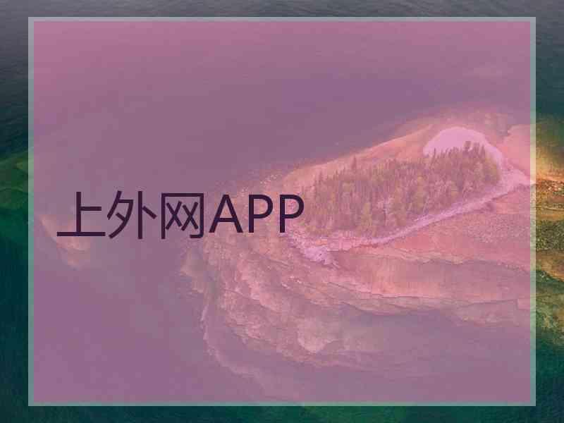 上外网APP