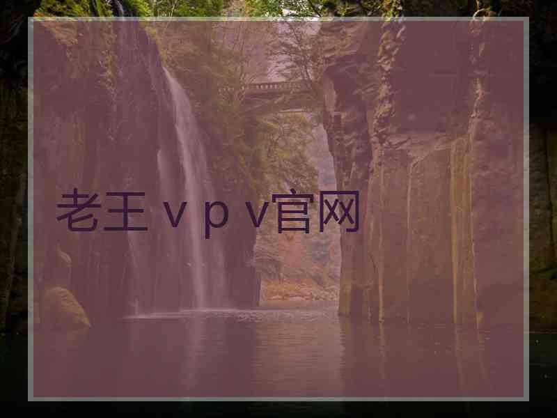 老王 v p v官网