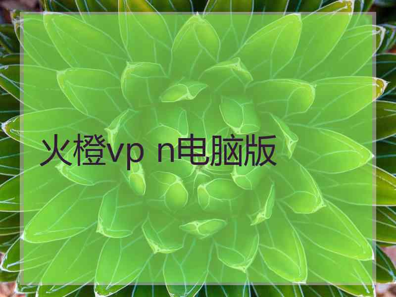 火橙vp n电脑版