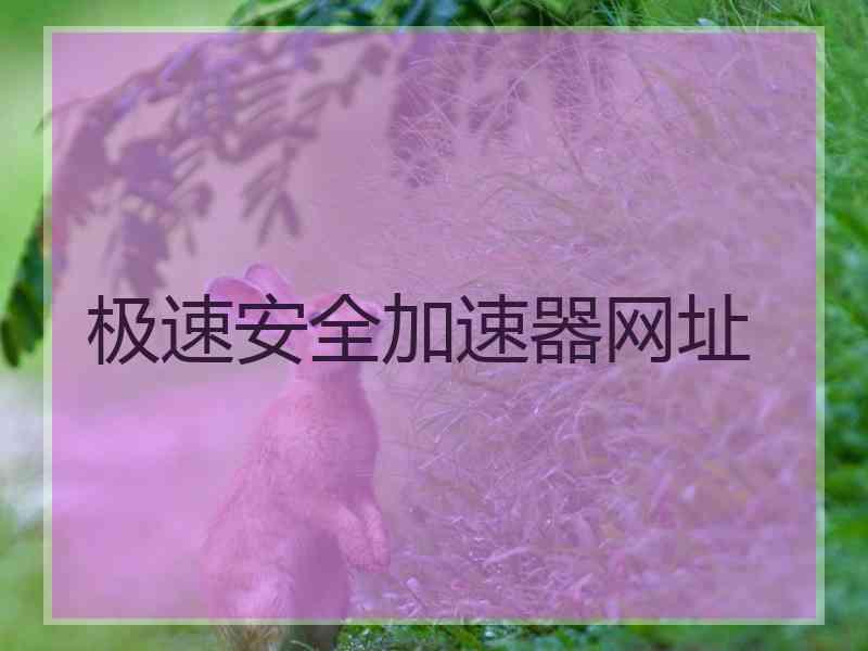 极速安全加速器网址