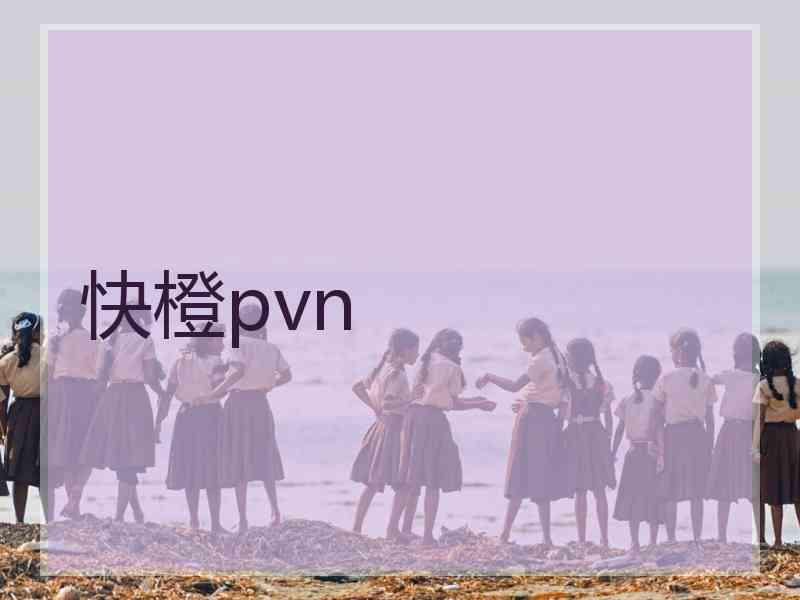 快橙pvn