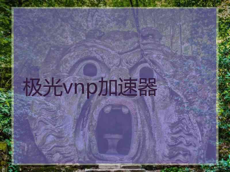 极光vnp加速器