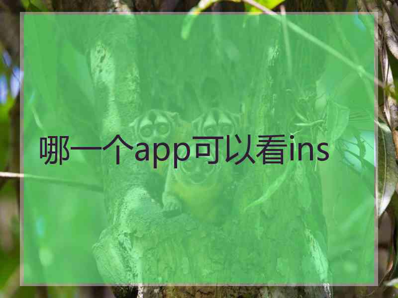 哪一个app可以看ins