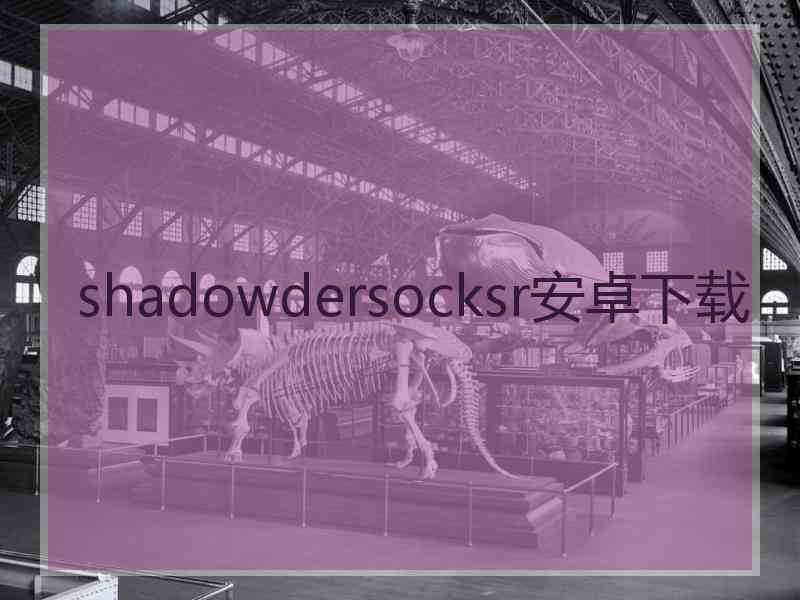 shadowdersocksr安卓下载