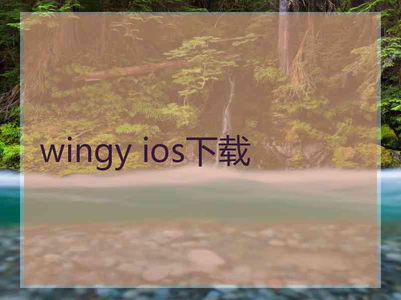 wingy ios下载