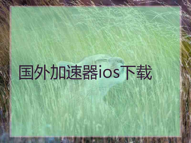 国外加速器ios下载