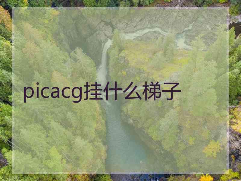 picacg挂什么梯子