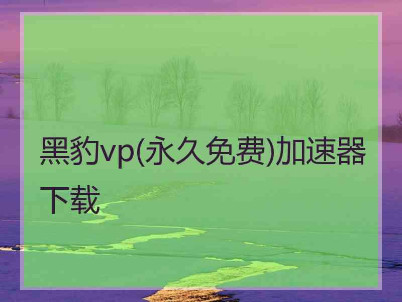 黑豹vp(永久免费)加速器下载