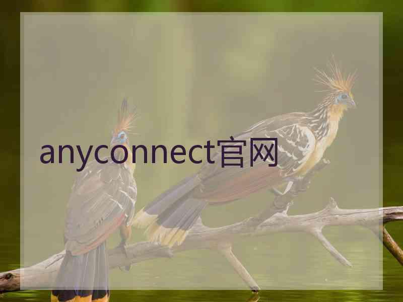 anyconnect官网