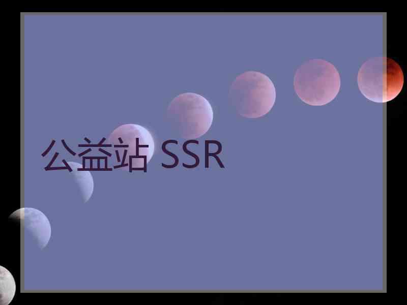 公益站 SSR