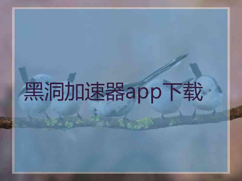 黑洞加速器app下载