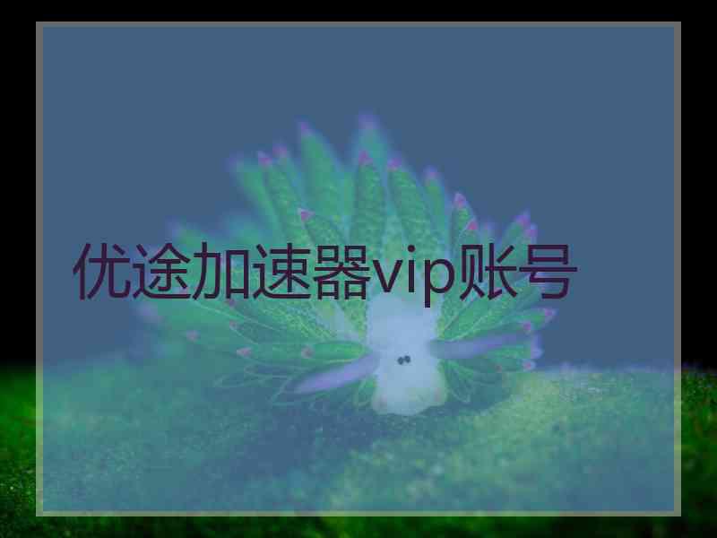 优途加速器vip账号