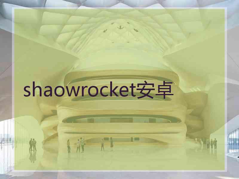 shaowrocket安卓