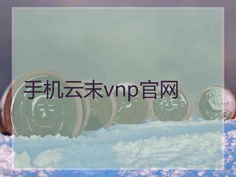 手机云末vnp官网