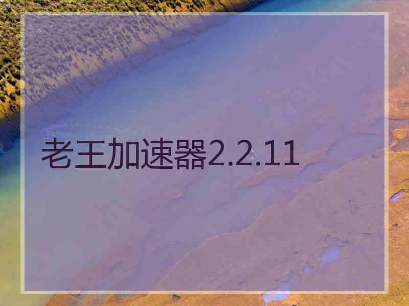 老王加速器2.2.11