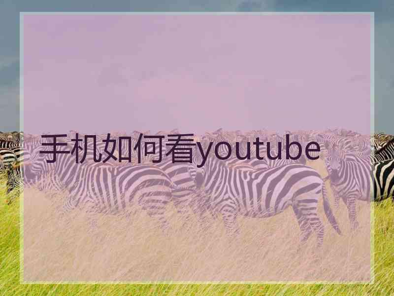 手机如何看youtube