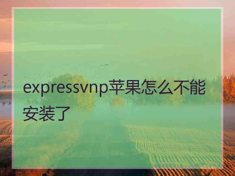 expressvnp苹果怎么不能安装了