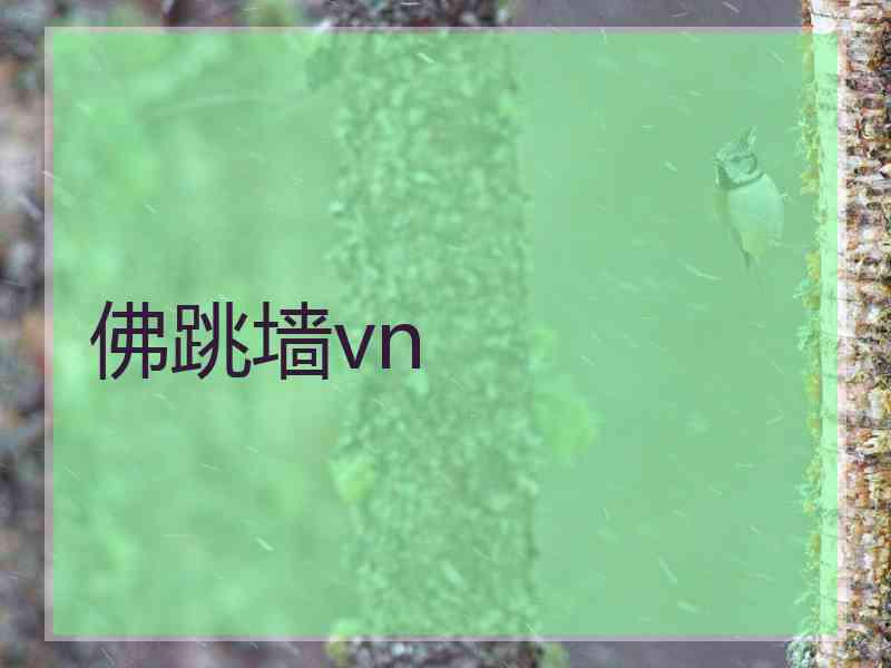 佛跳墙vn