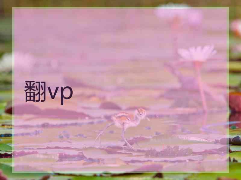 翻vp