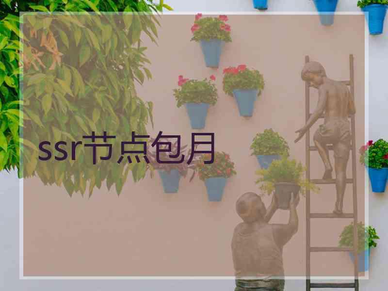 ssr节点包月