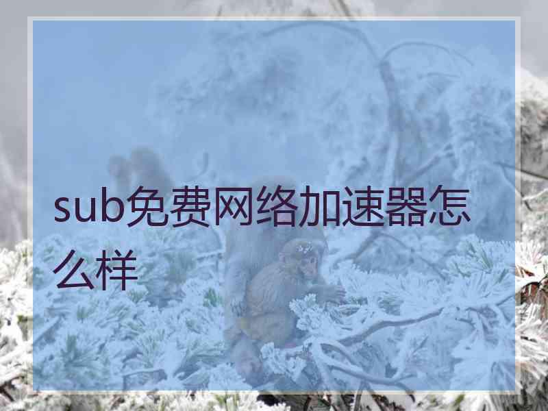 sub免费网络加速器怎么样