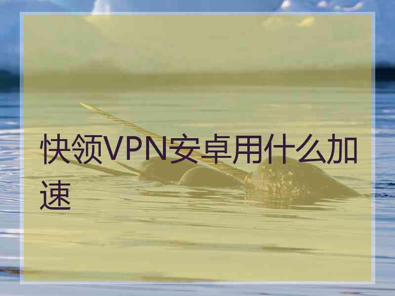 快领VPN安卓用什么加速