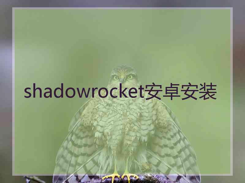 shadowrocket安卓安装