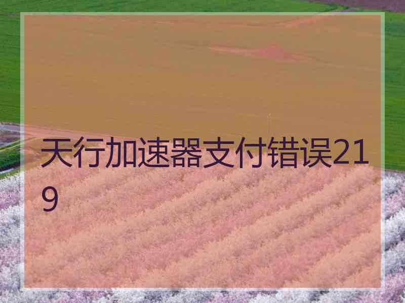 天行加速器支付错误219