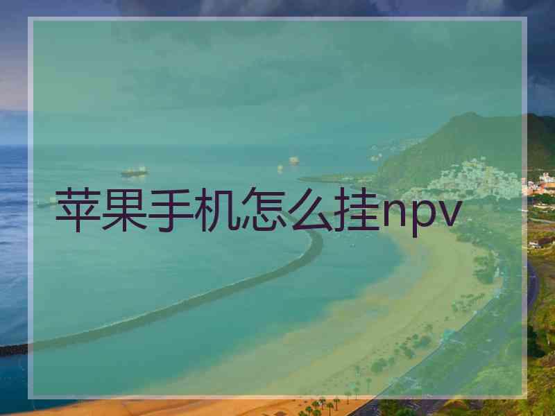 苹果手机怎么挂npv