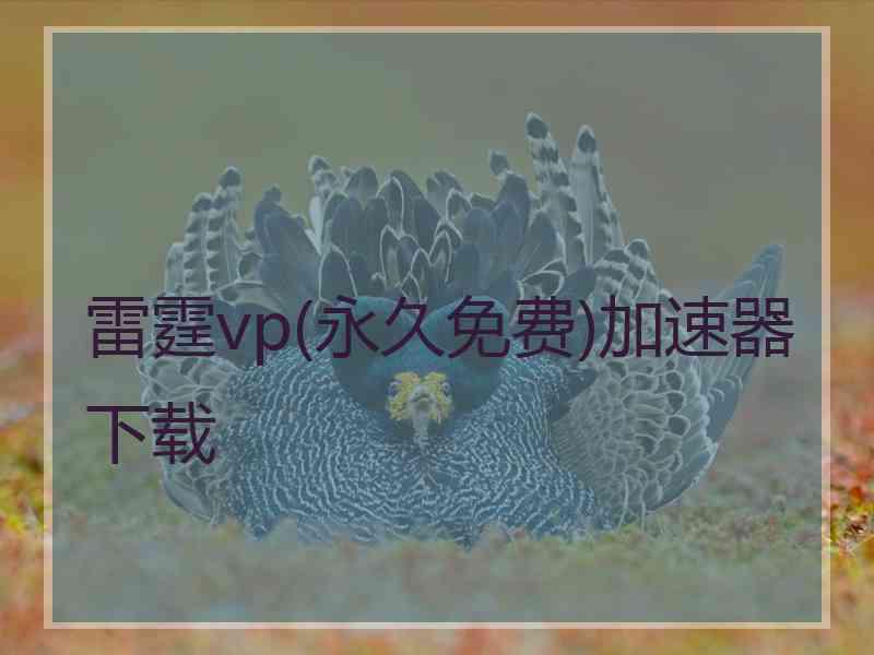 雷霆vp(永久免费)加速器下载