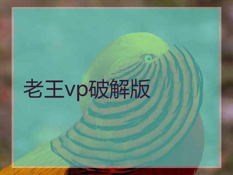 老王vp破解版