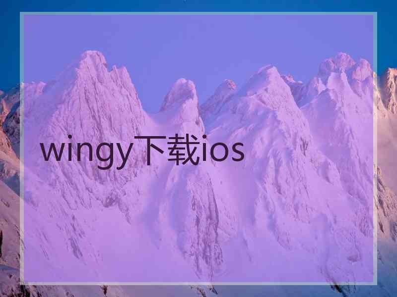 wingy下载ios