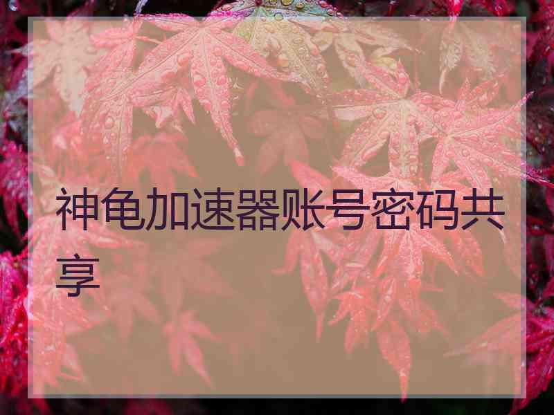 神龟加速器账号密码共享