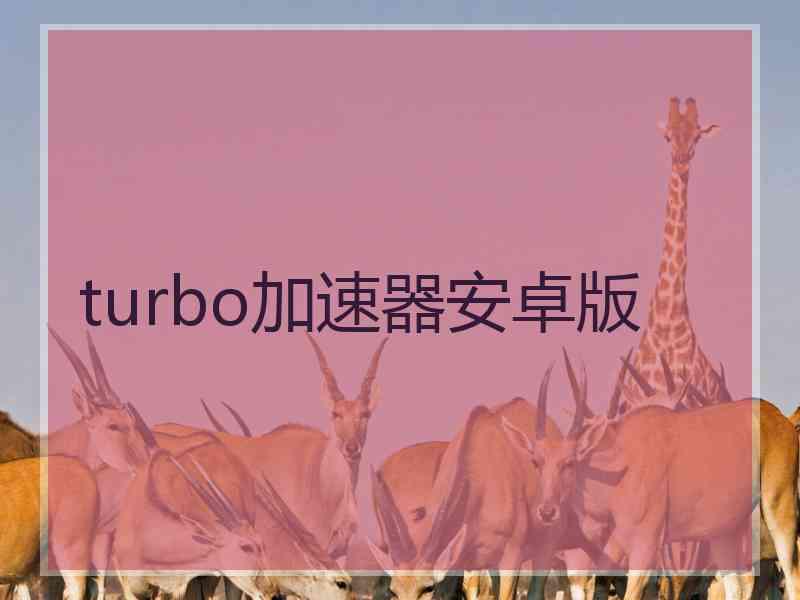 turbo加速器安卓版