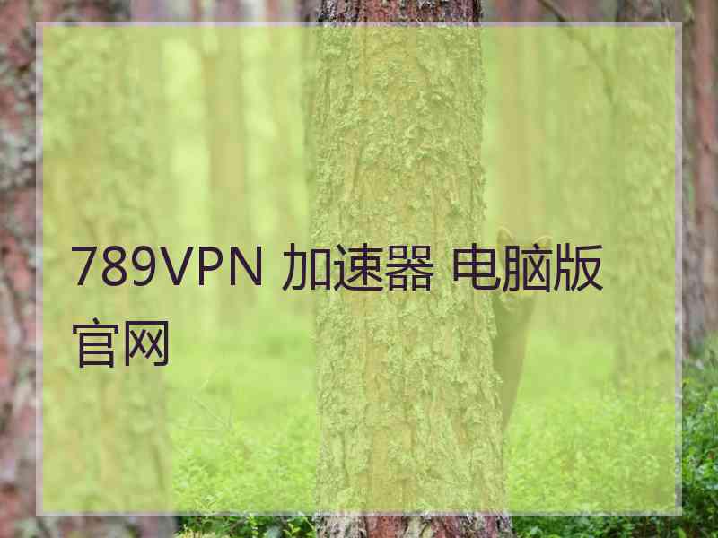 789VPN 加速器 电脑版 官网