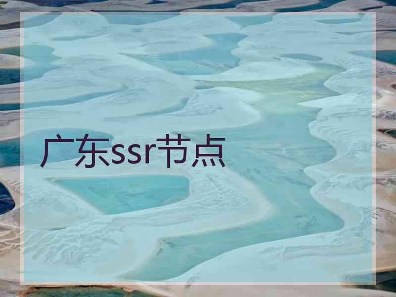 广东ssr节点