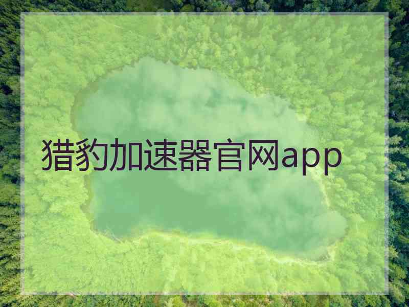 猎豹加速器官网app