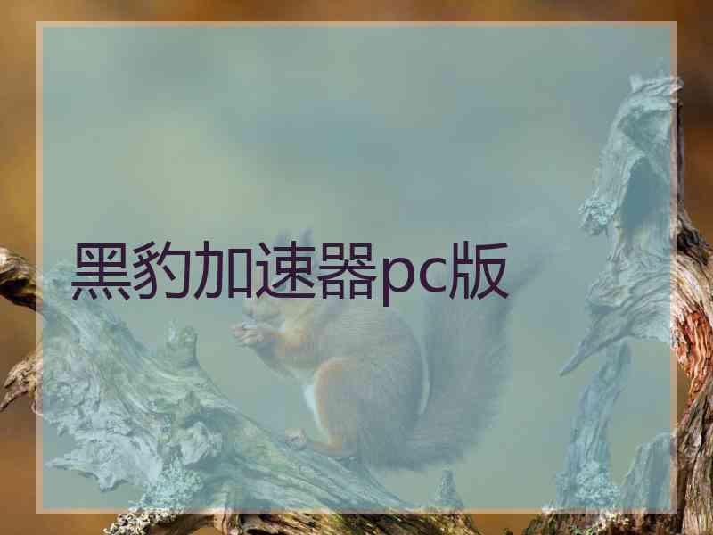 黑豹加速器pc版