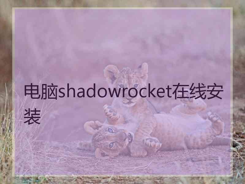 电脑shadowrocket在线安装