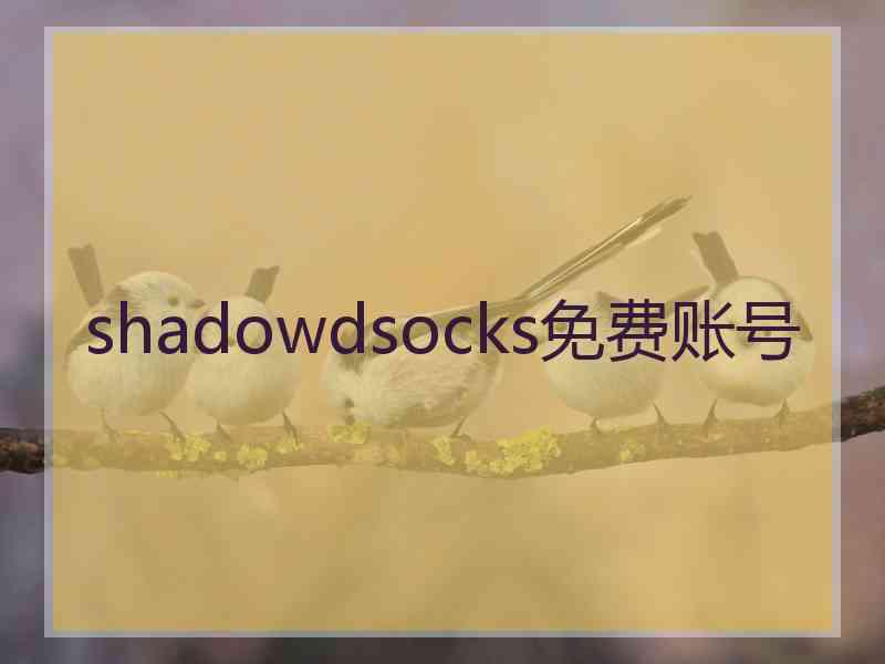 shadowdsocks免费账号