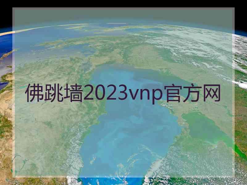 佛跳墙2023vnp官方网