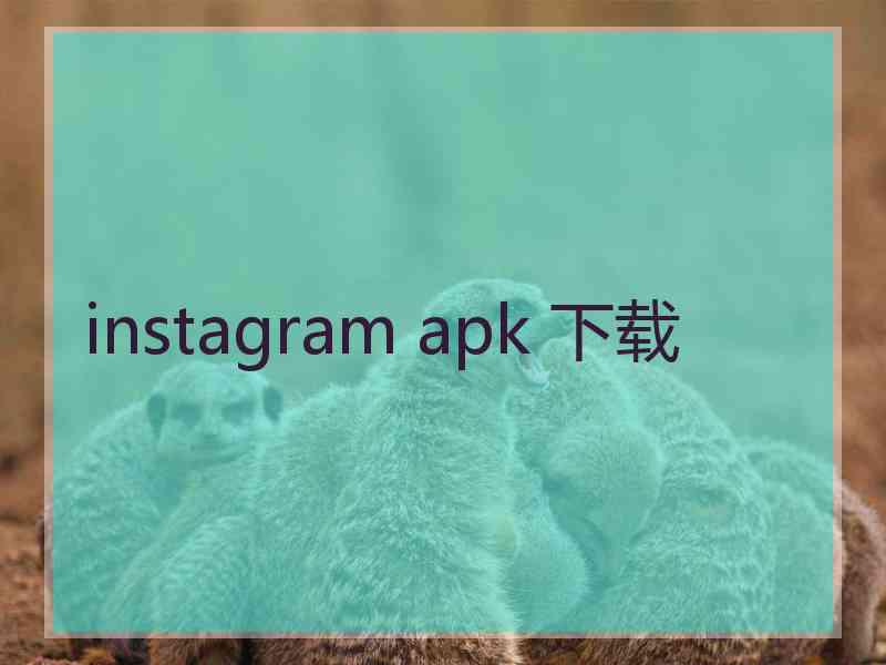 instagram apk 下载