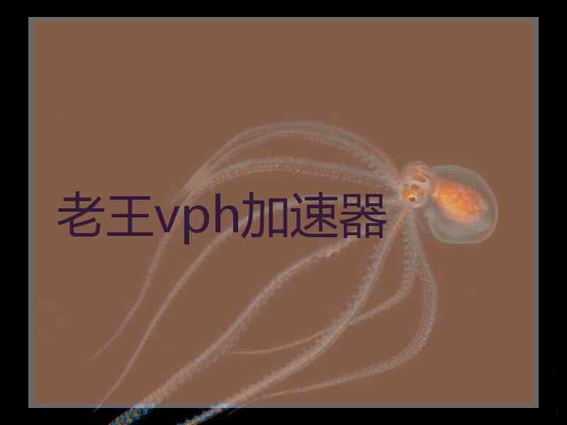 老王vph加速器